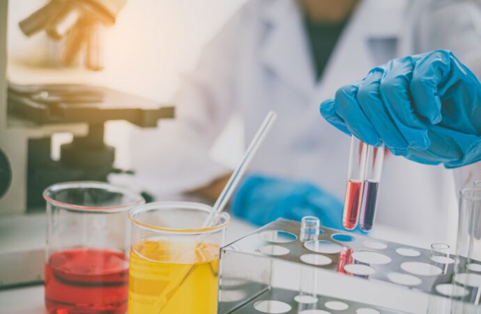 Personalizacja diety dzięki testom DNA – moda czy nauka? Testujemy trendy